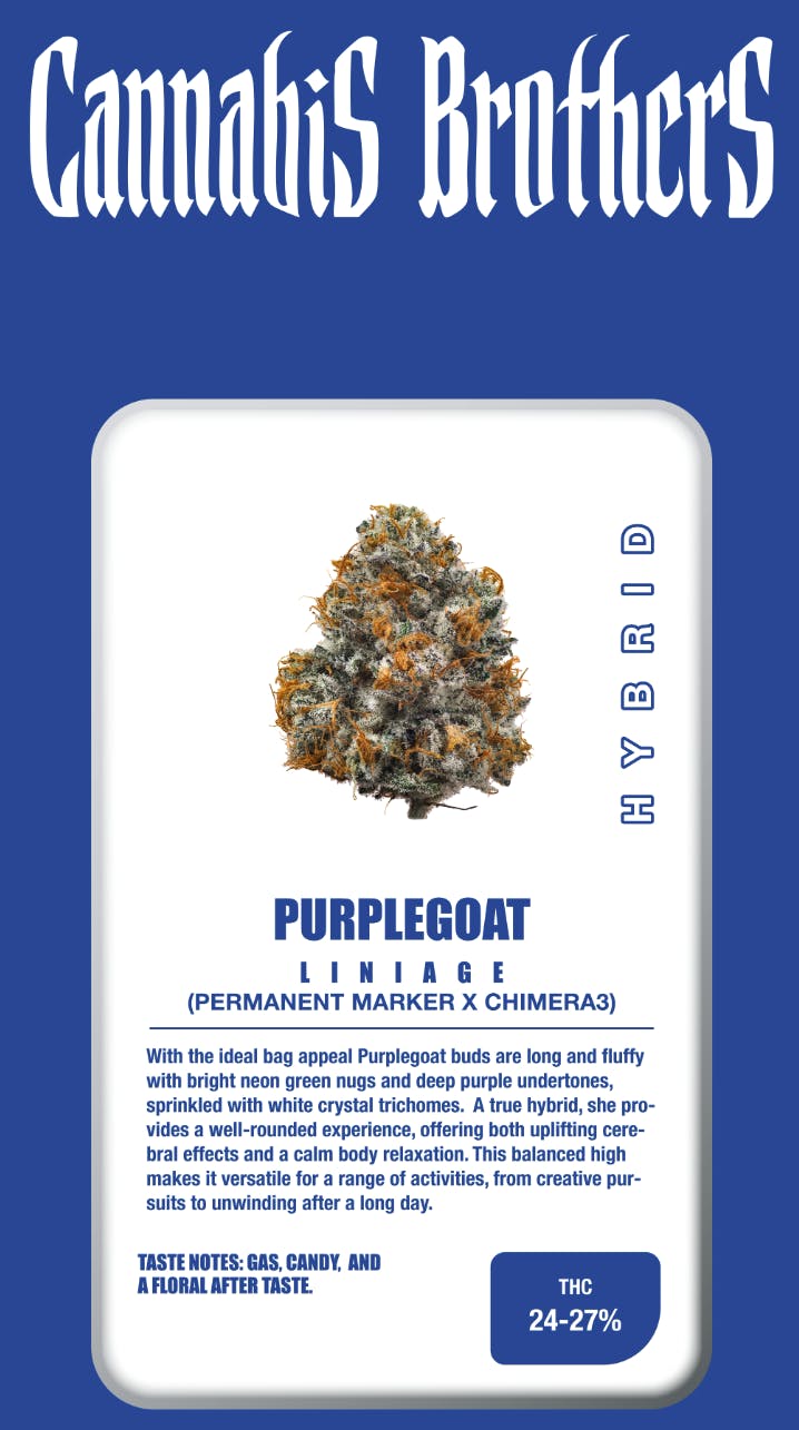 Cannabis Brothers - Cannabis Brothers | Purple Goat | Big Buds | 3.5g - 1