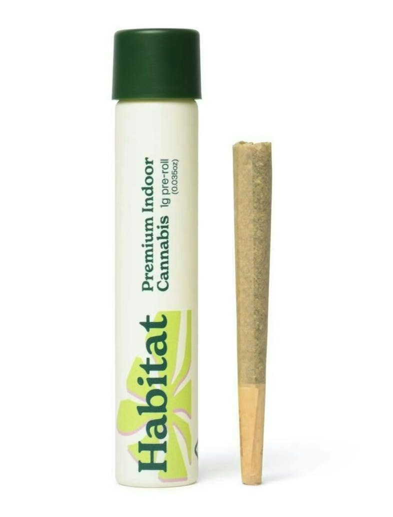 Habitat - Habitat | Dreamland | Joints | 1g - 1