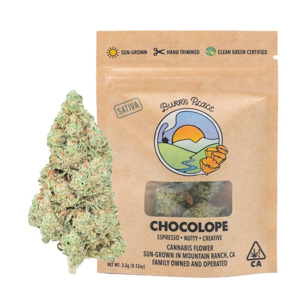 Burr's Place - Burr's Place | Chocolope | Flower | 3.5g - 1