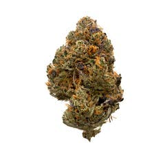Highbrow - Highbrow | Silver Sunshine | Flower | 1g - 1