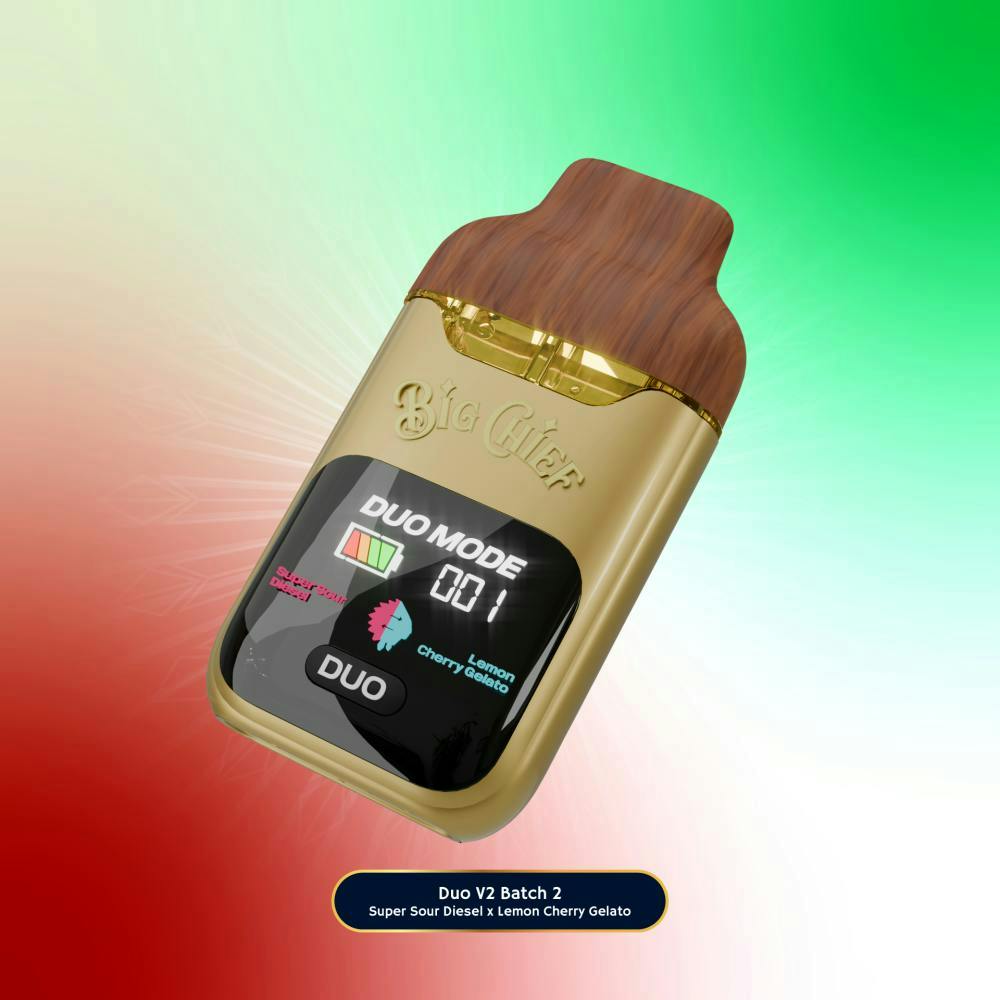 Big Chief - Big Chief | Super Sour Diesel x Lemon Cherry Gelato | V2 LD Disposable | 2g - 1