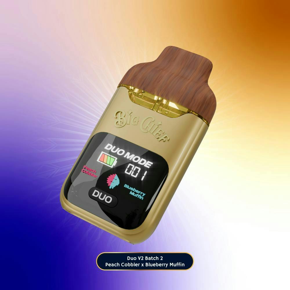 Big Chief - Big Chief | Peach Cobbler x Blueberry Muffin | V2 LD Disposable | 2g - 1