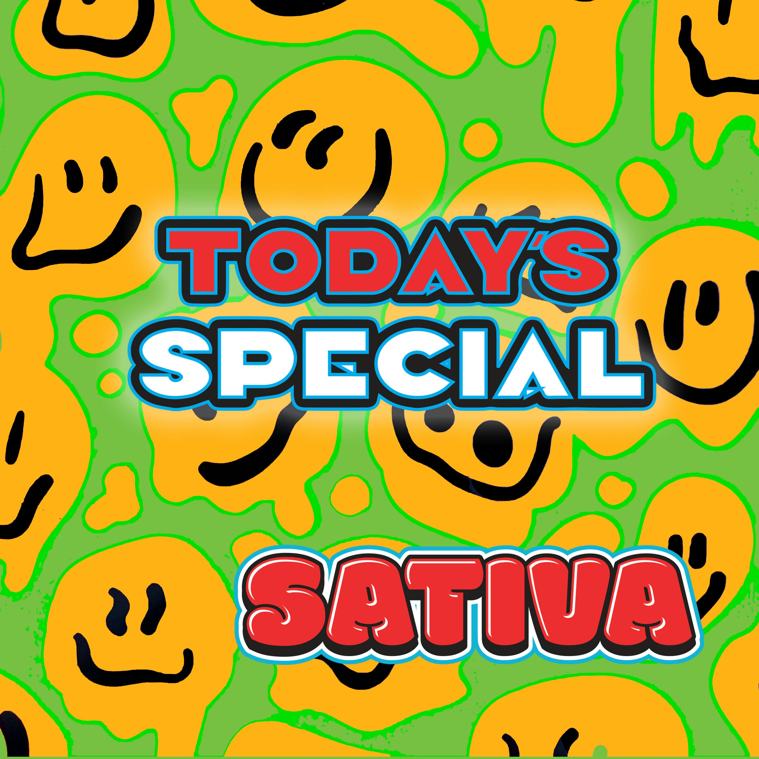 Todays Special - TODAYS SPECIAL Stoner Stash 28g Sativa - 1