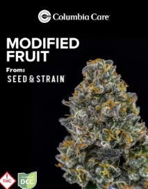 Seed & Strain - Modified Fruit | Big Buds | 5.66g - 1