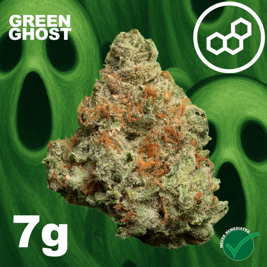 Theraplant - Green Ghost | Big Buds | 7g - 1