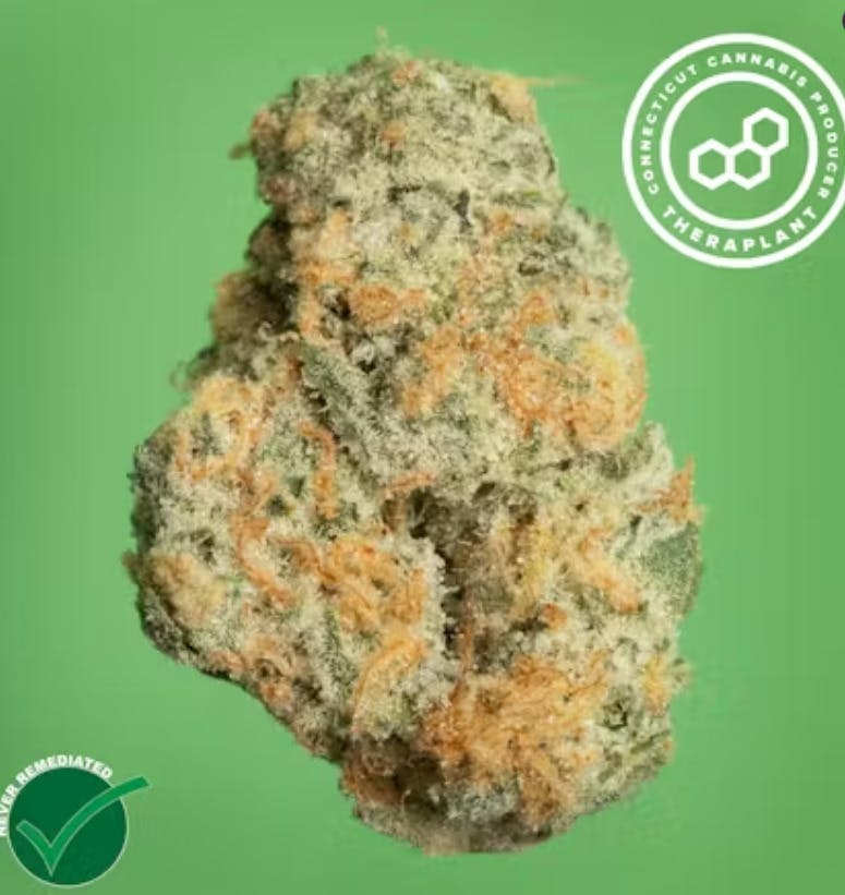 Theraplant - Gas Face | Big Buds | 28g - 1