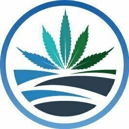 High Tide - glizzy | Solvent | 1g - 1