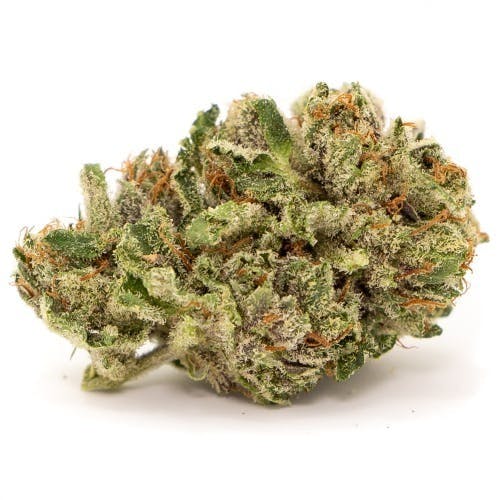 ALTRD - ALTRD | Mystery | Infused Joint | 3g - 1