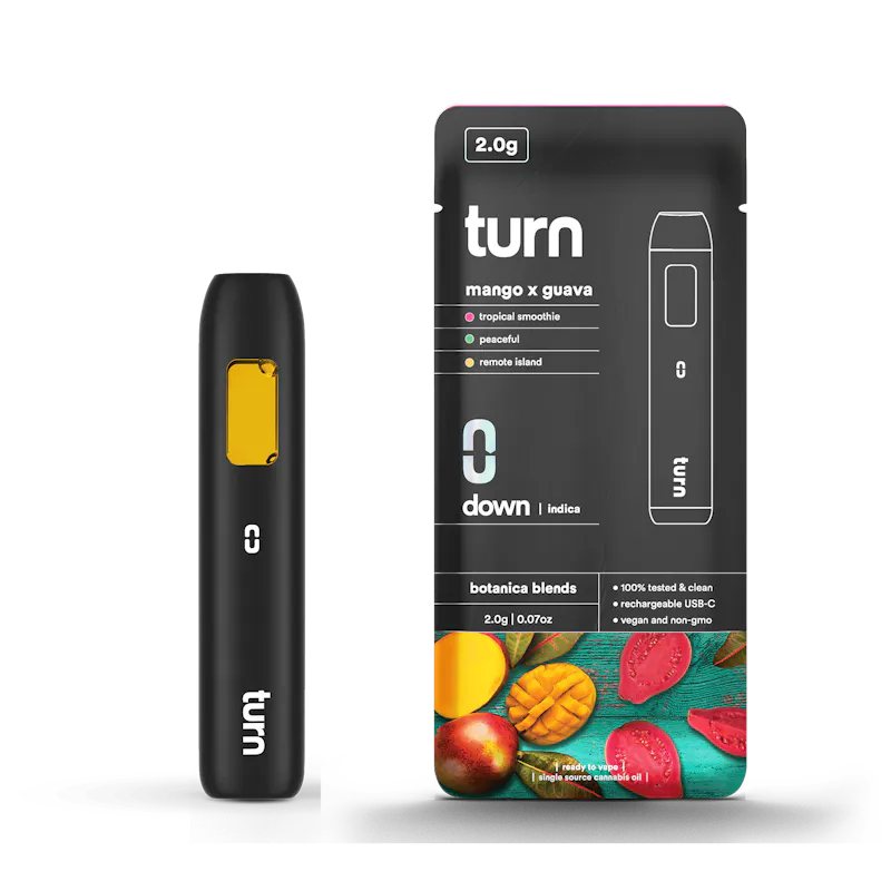 Turn Dime Mango x Guava Disposable 2g