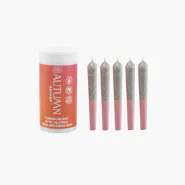 Autumn Brands | Smack Pack | Minis | 0.36g each | 5pk