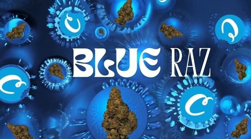 Cookies - Cookies | Blue Razz | Flower | 7g - 1