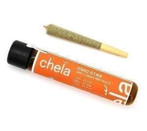 Chela - Chela | Black Garlic Gelato | Joint | 1g - 1