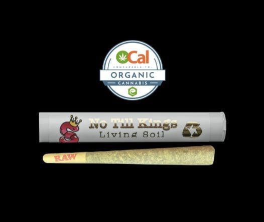 No Till Kings - Lemon Banana Sherbert | Pre-roll | 1g - 1