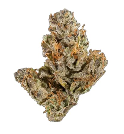Blue Chip - KING LOUIS OG 3.5G - 1