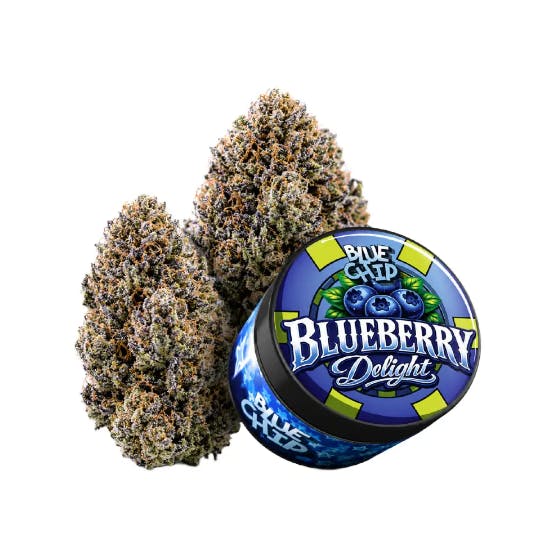 Blue Chip - BLUEBERRY DELIGHT 3.5G - 1