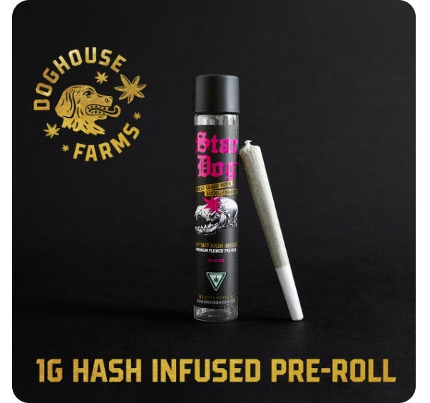 DogHouse Farms - Time Out | Infused Pre-roll | 1g - 1
