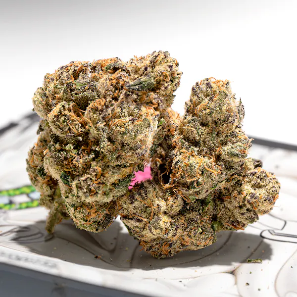 Ted's Budz Princess Plug