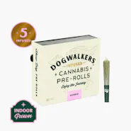 Gelato AK | Infused Minis | 0.45g each | 5pk