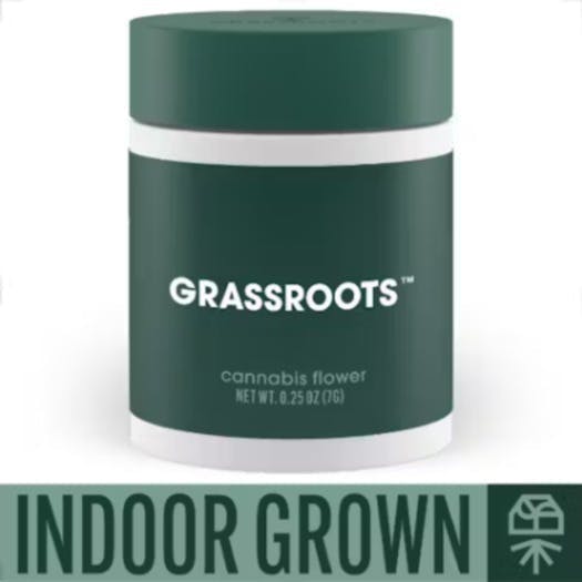 Grassroots - Apple Runtz | Smalls | 7g - 1
