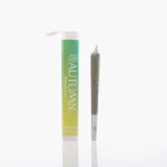 Preroll 1g Sativa Sour Mango