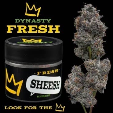 Green Dynasty - Kami Kush FRESH | Big Buds | 3.5g - 1