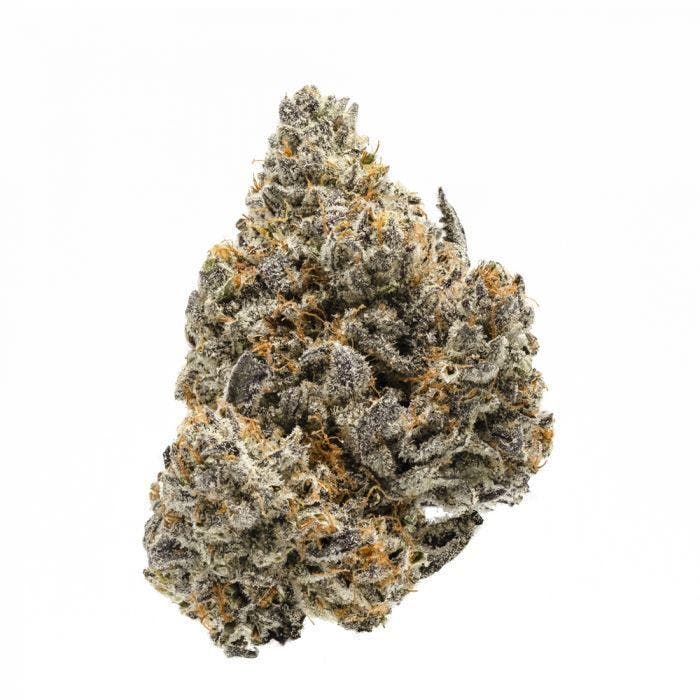 Sunset - RAINBOW RUNTZ TOP SHELF INDOOR - 14G - 1