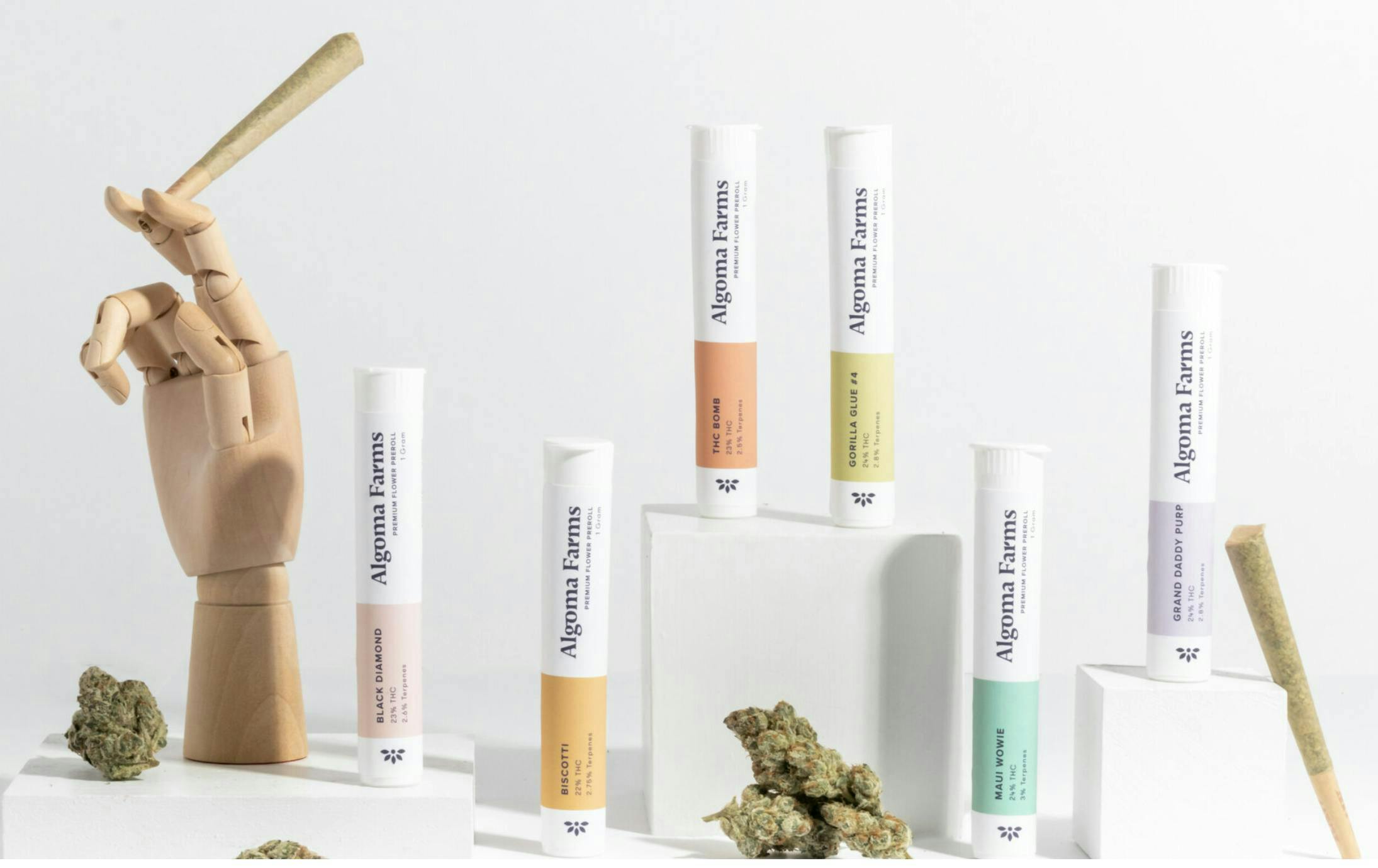 Algoma Farms - California Raisins | Premium Cannabis Pre Roll [1g] - 1