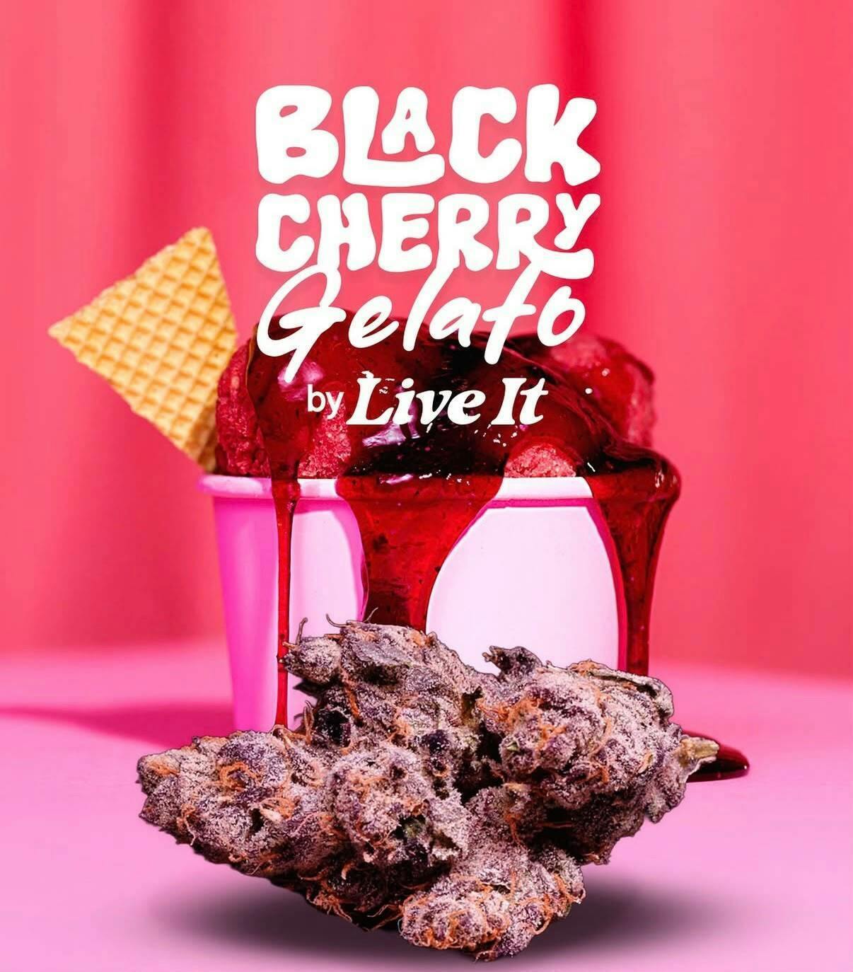 Live It - Black Cherry Gelato | Buds - 1