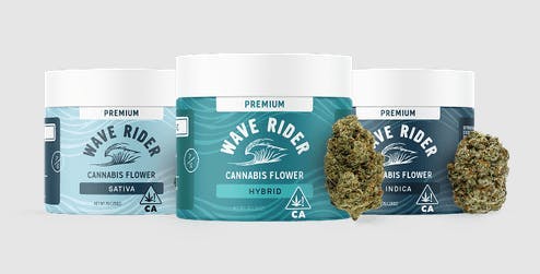 Wave Rider - Blueberry Creme | Premium Big Buds | 7g - 1
