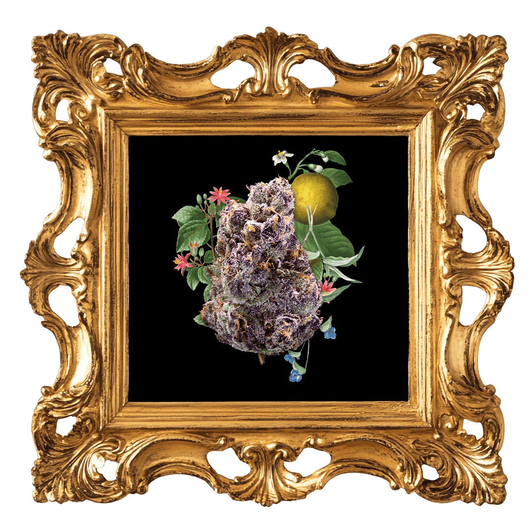 Goddess - Goddess | Maraschino Lemon Pop | Big Buds | 3.5g - 1