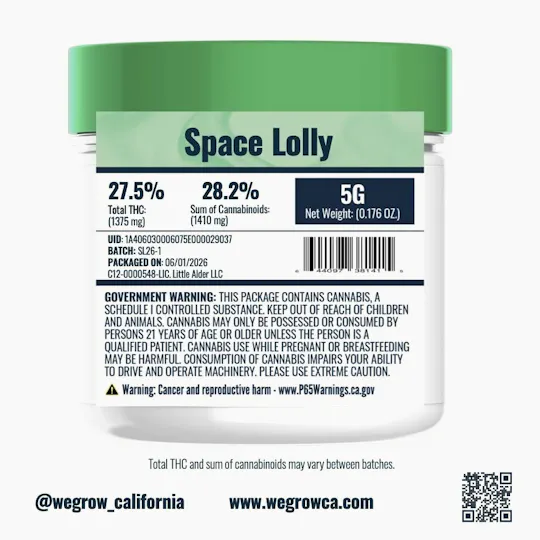 We Grow - Space Lolly | Big Buds | 5g - 1