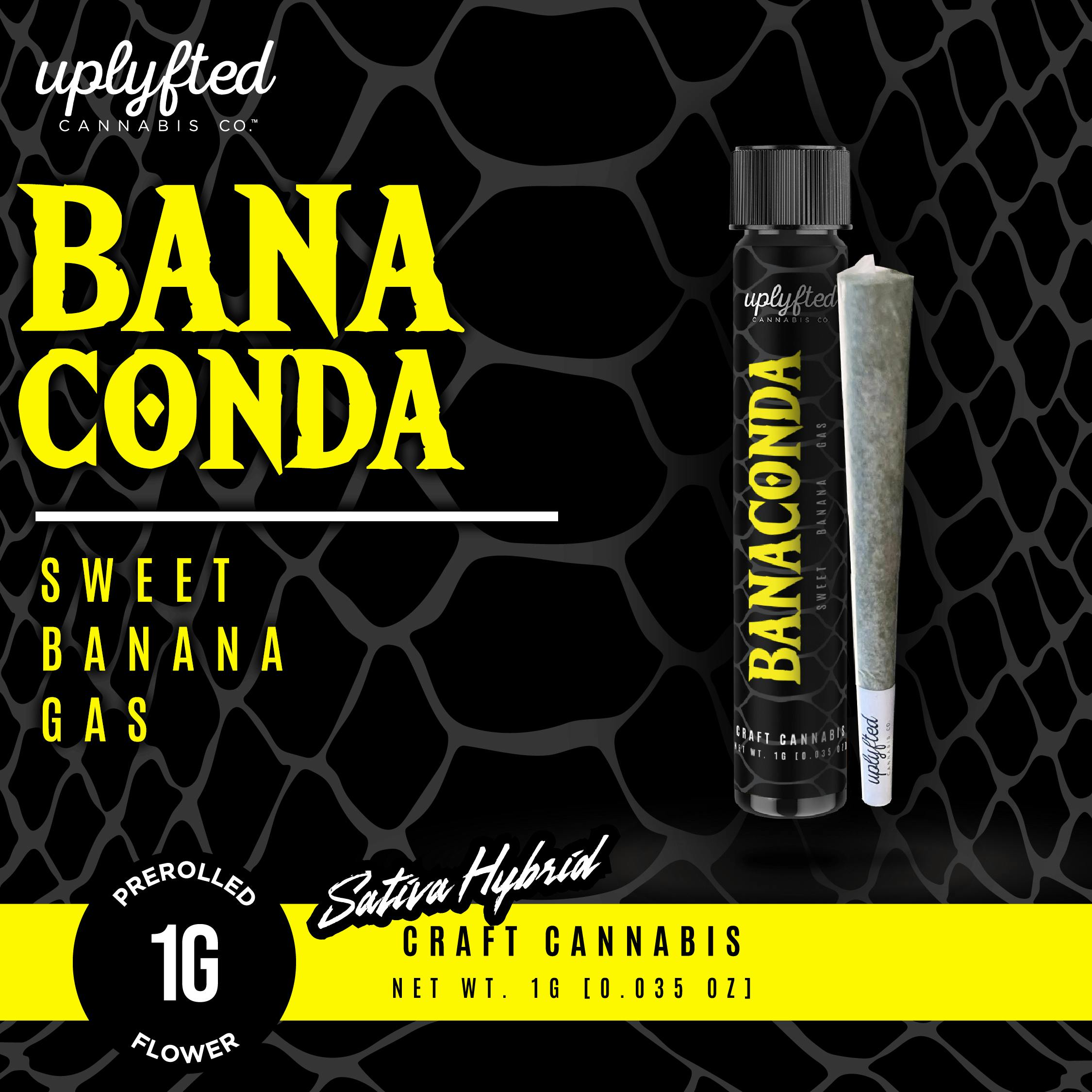 Uplyfted Cannabis Co - Banaconda 1g Pre-roll - Indoor A-Nug Flower - No Shake or Trim - 1