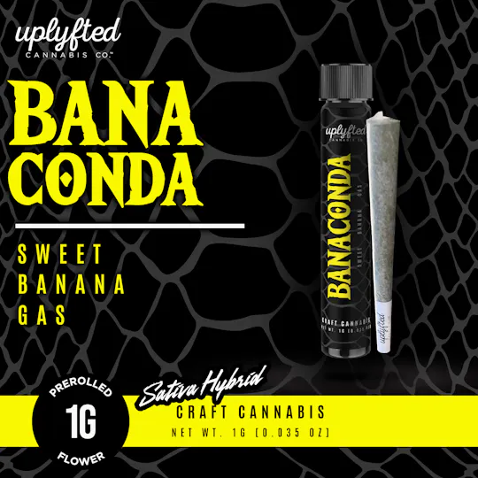 Uplyfted Cannabis Co - Banaconda 1g Pre-roll - Indoor A-Nug Flower - No Shake or Trim - 1