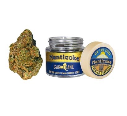 Nanticoke - Garlicane | Big Buds | 3.5g - 1