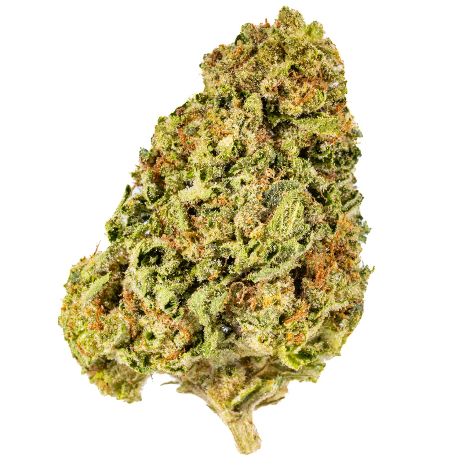 West Coast Cure - Orange Squeeze - 14G Premium Flower - 1
