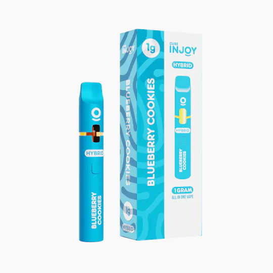 Cure Injoy - Blueberry Cookies | Disposable | 1g - 1