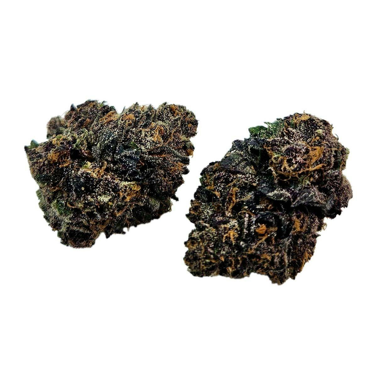 Freedom Road - Lemon Cherry Bubblegum - 1