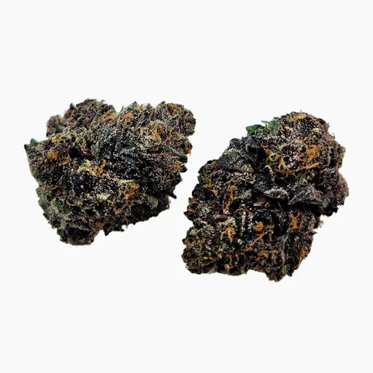 Freedom Road - Lemon Cherry Bubblegum - 1