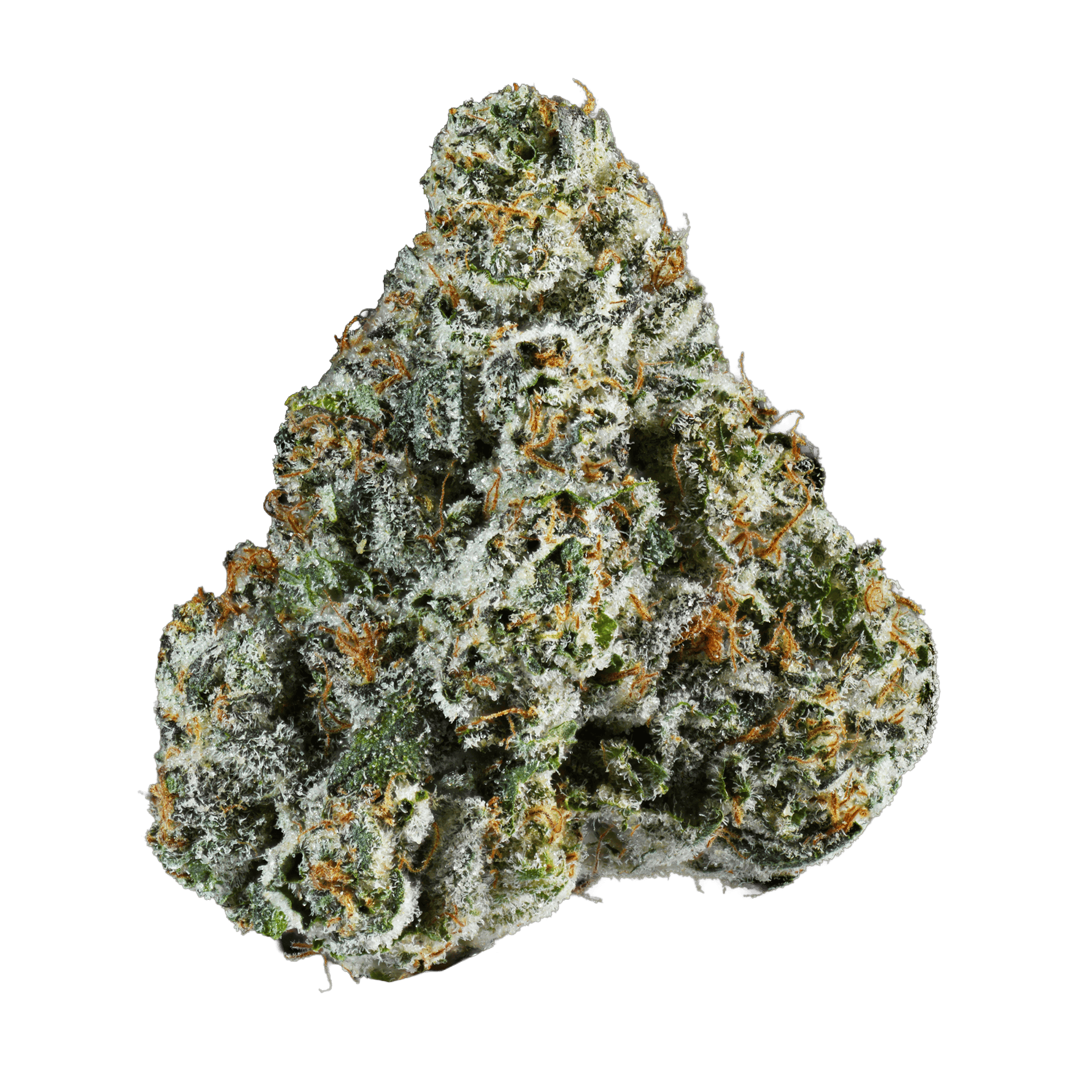 Connected Cannabis Co. - Habibi OG | Big Buds | 3.5g - 1