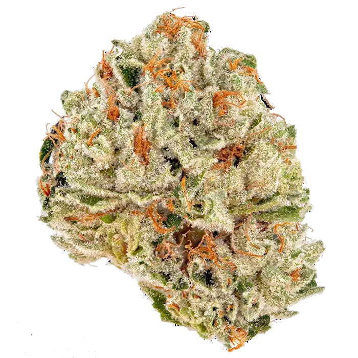 Don Verde - Julius Caesar (Hybrid) - 1