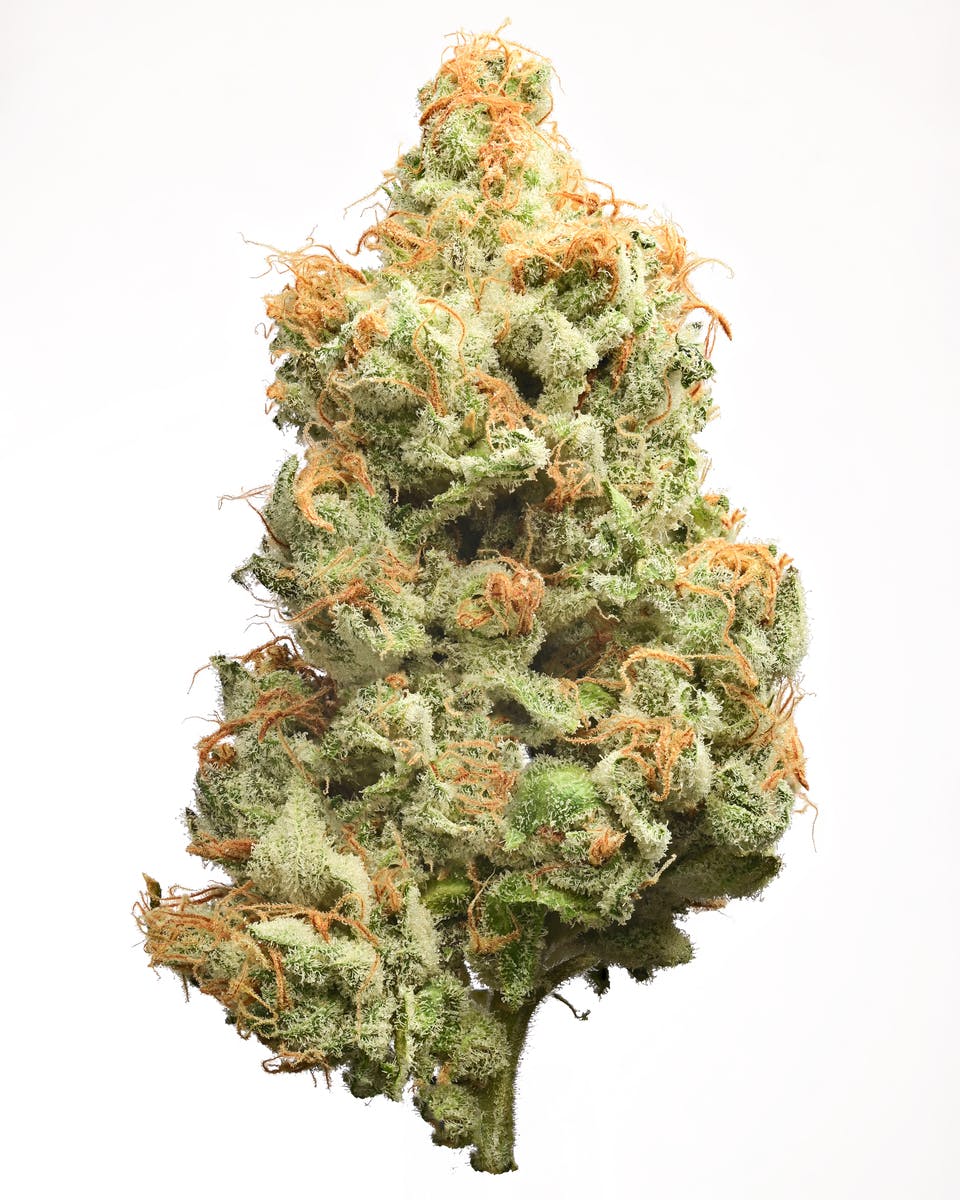 Fire Bros. - Peanut Butter Crunch | Big Buds - 1