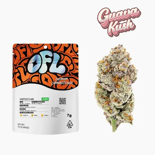 Oakfruitland (OFL) - Guava Kush | Big Buds | 7g - 1