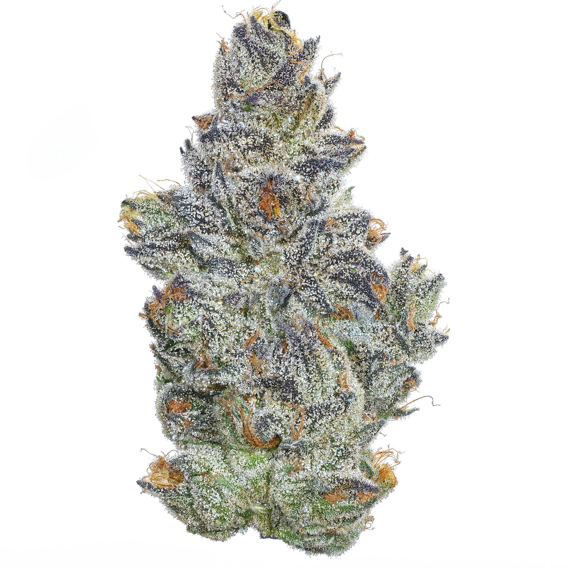 Fig Farms - Fig Farms | Sour Cherry Pie | Big Buds - 1