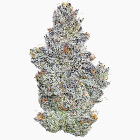 Fig Farms - Fig Farms | Sour Cherry Pie | Big Buds - 1