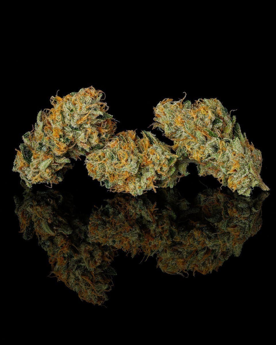 Decibel Gardens - Grape Jet Fuel | Indoor Flower | 3.5g - 1