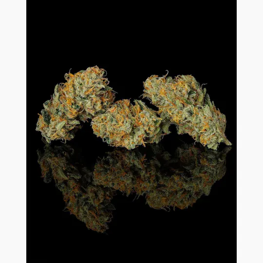 Decibel Gardens - Grape Jet Fuel | Indoor Flower | 3.5g - 1