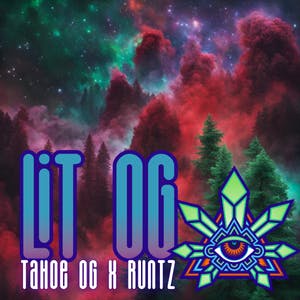 Emerald Visions - LIT OG - Bulk Flower - 1