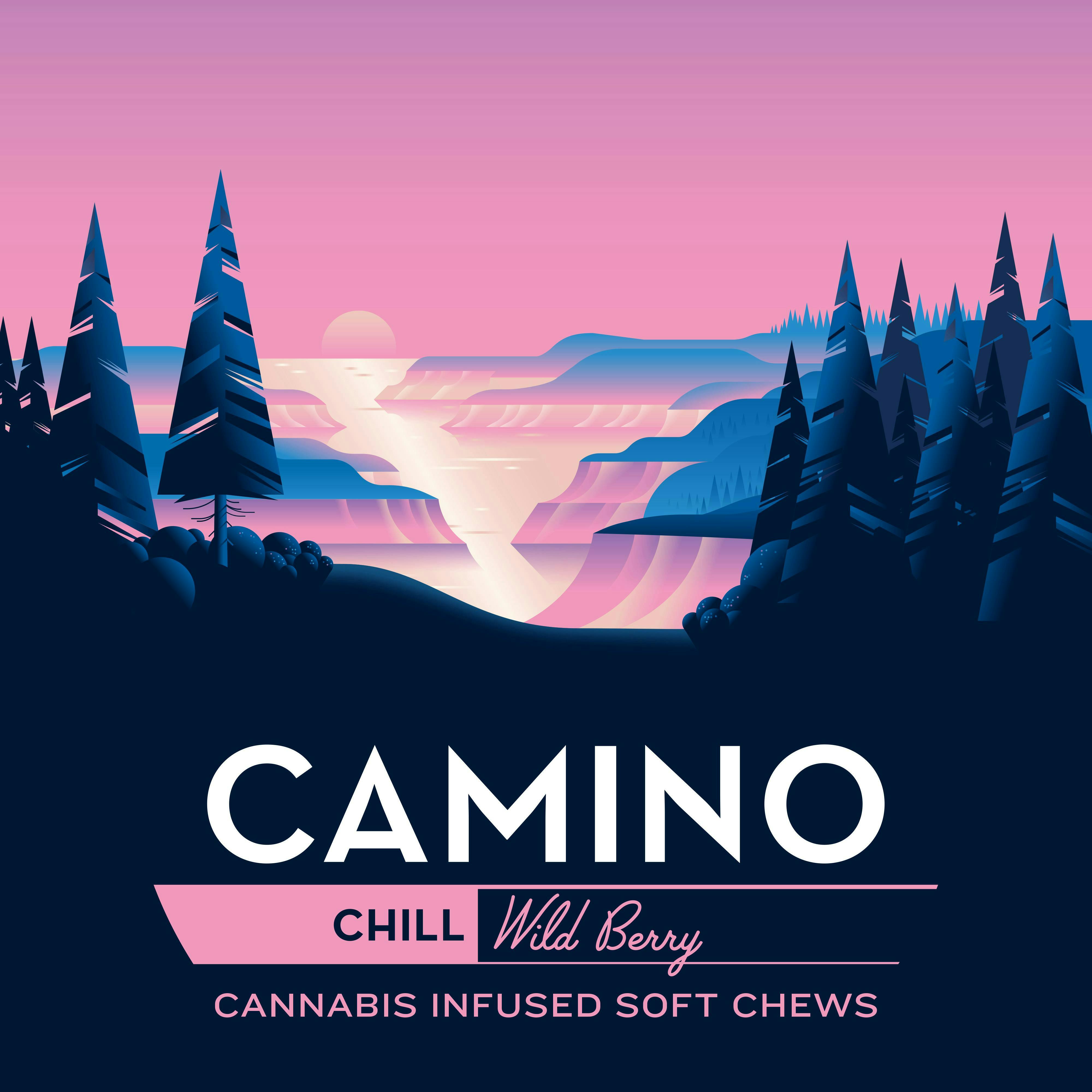 Camino - Chill | Wild Berry Gummies | 1000mg | 20ct | 50mg/ea - 1