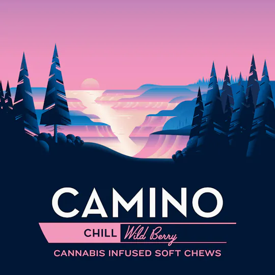 Camino - Chill | Wild Berry Gummies | 1000mg | 20ct | 50mg/ea - 1