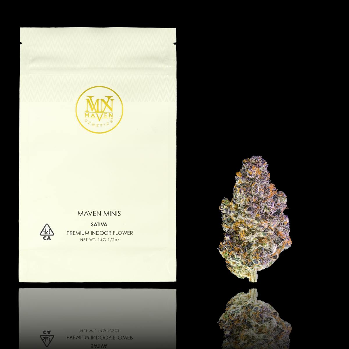 Maven Genetics - Key Lime Jack Maven Minis [14g] - 1